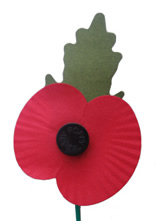 Royal British Legion poppy